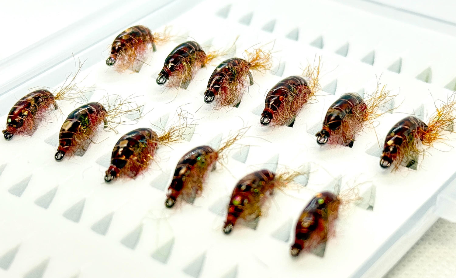 Cinnamon Scuds (12 flies)