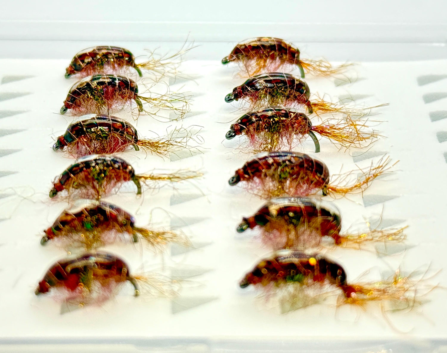 Cinnamon Scuds (12 flies)