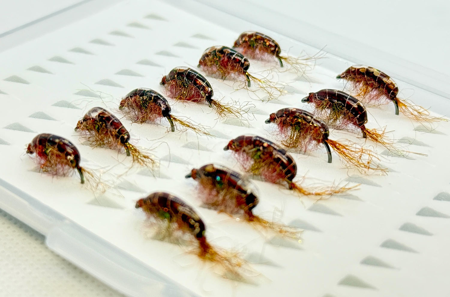 Cinnamon Scuds (12 flies)